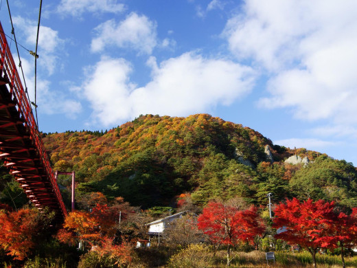 48265 (a): :1600x1200